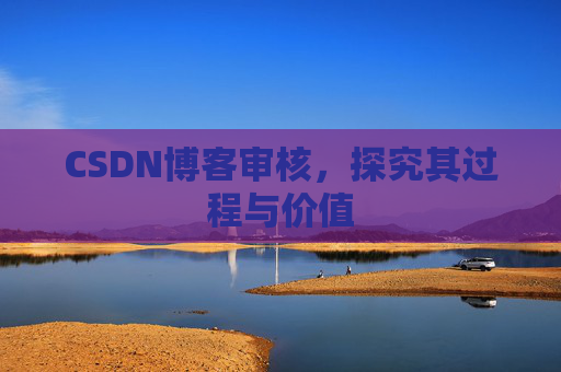 CSDN博客审核,探究其过程与价值